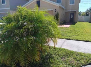 Weeding by William Chavers for Zainal M. in Gibsonton, FL