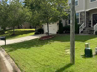Bevan C.'s Lawn Mowing service result