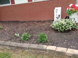 Weeding by Robert Pittman for Anita C. in Columbus, OH