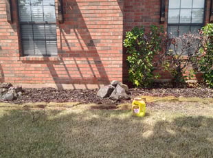 Weeding by Dakota Lally for Lucas M. in Edmond, OK