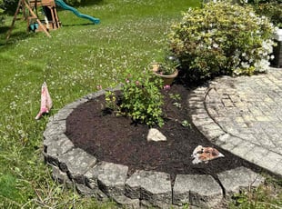 Mulching by Aileen Sanchez for Brian S. in Oswego, IL