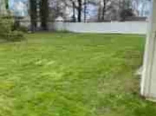 Douglas C.'s Grass Cutting service result