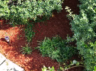 Mulching by Ryan Harris for Margaret C. in White House, TN