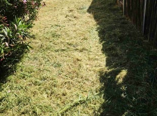 Cleanups by Juan Rodriguez for Carolyn B. in Sacramento, CA
