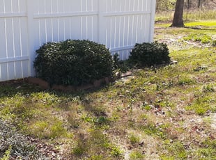 Bush Trimming by Paul Stephens for Mildred C. in Covington, GA