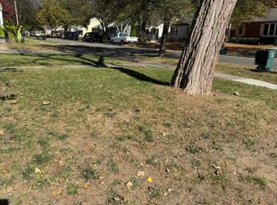 Cleanups by Japheus Sanders for Tyler G. in Ferndale, MI