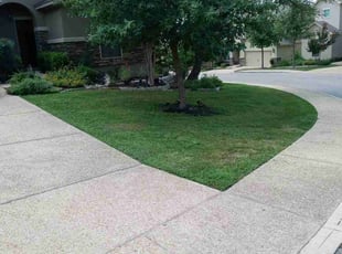 Cleanups by Jason Westgor for Angela S. in San Antonio, TX