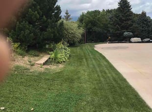 Joey S.'s Lawn Mowing service result