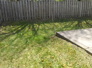 Leaf Removal by David Shreder for Robert J. in Fishers, IN