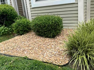 Weeding by Jason Scott for Alexis B. in Germantown, MD