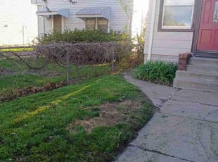Cleanups by David Gallaway for Tianna J. in Saint Paul, MN