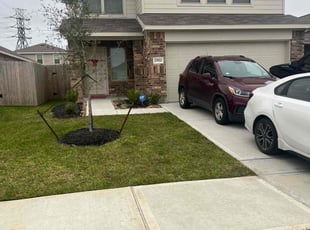 Claudia T.'s Lawn Service service result