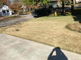 Leaf Removal by Joey Handley for Jennifer S. in Tulsa, OK