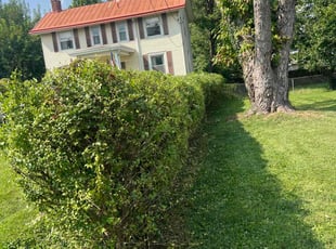 Bush Trimming by Jon Race for David B. in Deer Park, OH
