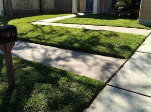 Sandi B.'s Lawn Service service result