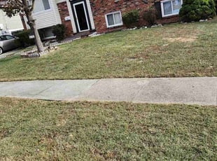 Yvonne C.'s Lawn Mowing service result