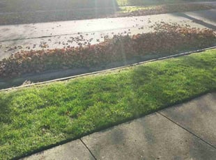 Leaf Removal by Eileen Hirschman for Emily M. in Willingboro, NJ