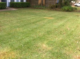 Cleanups by Jose Martinez for Melba A. in Tallahassee, FL