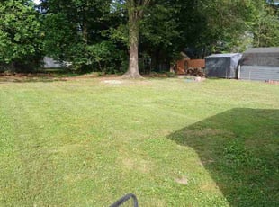 Bailey R.'s Lawn Care service result