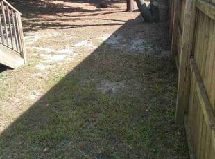 Cleanups by Trevor Philipp for Kerin M. in Norfolk, VA