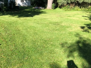 Cleanups by Jerry Agnew for Rona S. in Roseville, MN