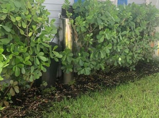 Leaf Removal by Joseph Dinsmore for Patrice C. in West Palm Beach, FL