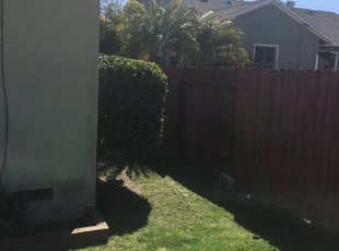 Bush Trimming by Mark Stephens for Joe G. in Torrance, CA