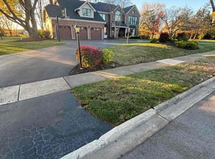 Leaf Removal by Jorge Yanez for Derek L. in Naperville, IL