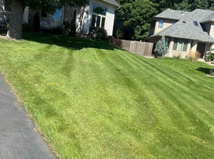 Mike Y.'s Lawn Care service result