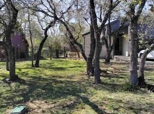 Leaf Removal by Gabriel Mcvea for Dylan R. in Wimberley, TX
