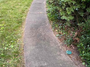 Cleanups by Ap Analytics for Sean M. in Centreville, VA