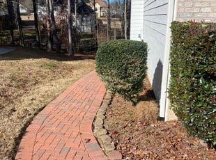 Bush Trimming by Alexis Crawford for Don C. in Fayetteville, GA