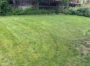 Randy C.'s Lawn Mowing service result