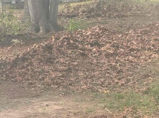 Leaf Removal by Ashley Dawson for Robin Eb H. in Fredericksburg, VA