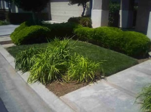 Jennifer W.'s Lawn Service service result