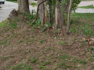Cleanups by Javis Hogan for Lorri B. in Omaha, NE