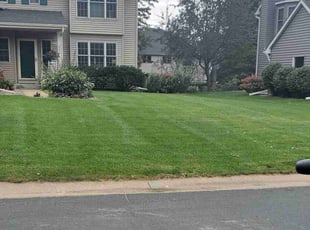 Stephanie A.'s Lawn Mowing service result