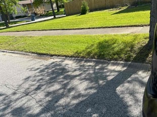 Ashley S.'s Lawn Mowing service result