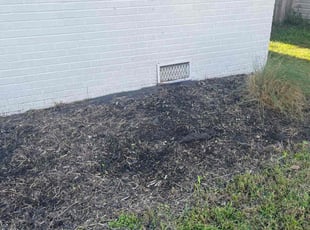 Weeding by Cari Shorb for Nick M. in Norfolk, VA