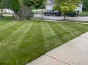 Rob D.'s Lawn Mowing service result