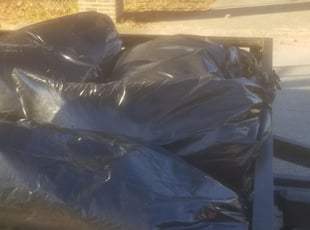 Cleanups by Chris Chance for Felicia F. in Birmingham, AL