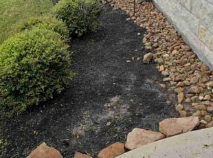 Weeding by Felix Botello for Leonard . in Humble, TX