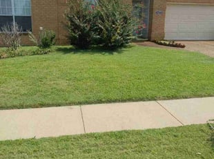 (BJ) Barbara B.'s Lawn Mowing Service service result