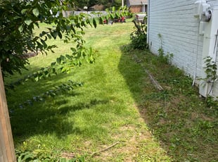 Bush Trimming by Ryan Pendley for Jim A. in Bartlett, TN