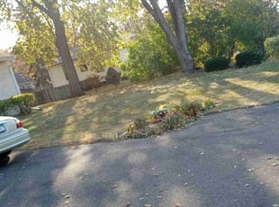 Leaf Removal by Erica Flanagan for cathleen p. in Minneapolis, MN