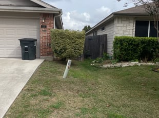 Bush Trimming by Brian Ford for Shunta W. in Braunfels, TX