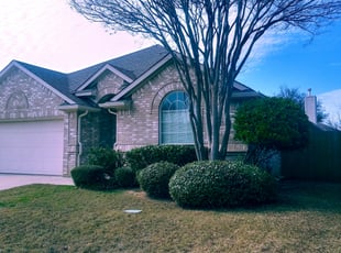 Bush Trimming by Nathaniel Lamers for Amber H. in Fort Worth, TX