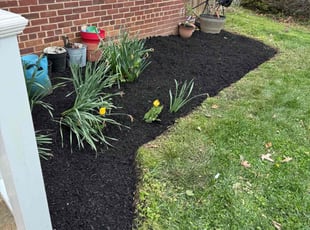 Mulching by Jairon Villagran for Melanie L. in Kensington, MD