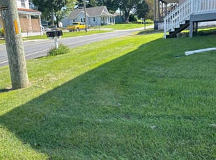 Sonya J.'s Lawn Care service result