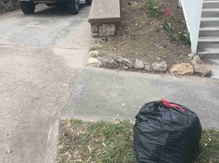 Leaf Removal by Cisco Harris for Jonathan B. in Kansas City, MO